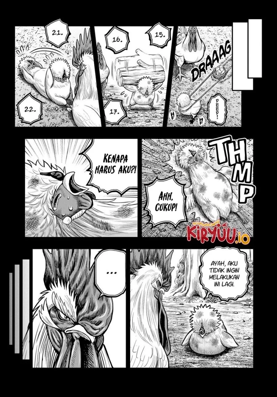 Rooster Fighter Bab 27 halaman 12