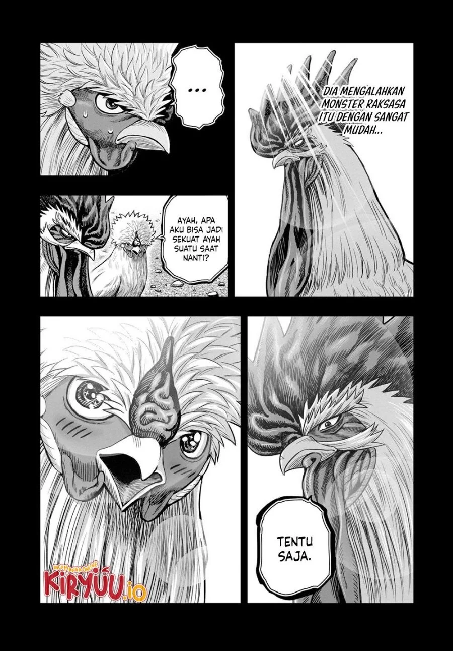Rooster Fighter Bab 27 halaman 15