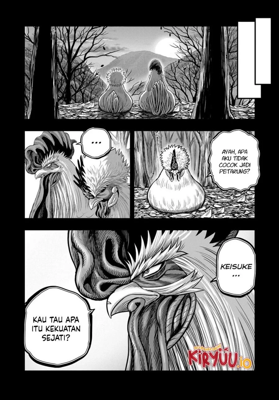 Rooster Fighter Bab 27 halaman 17