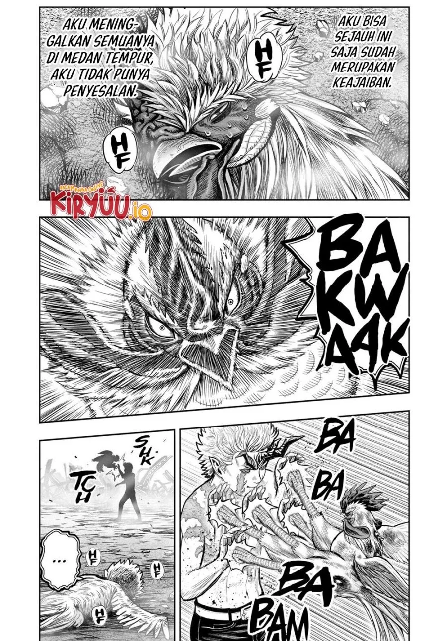 Rooster Fighter Bab 27 halaman 20