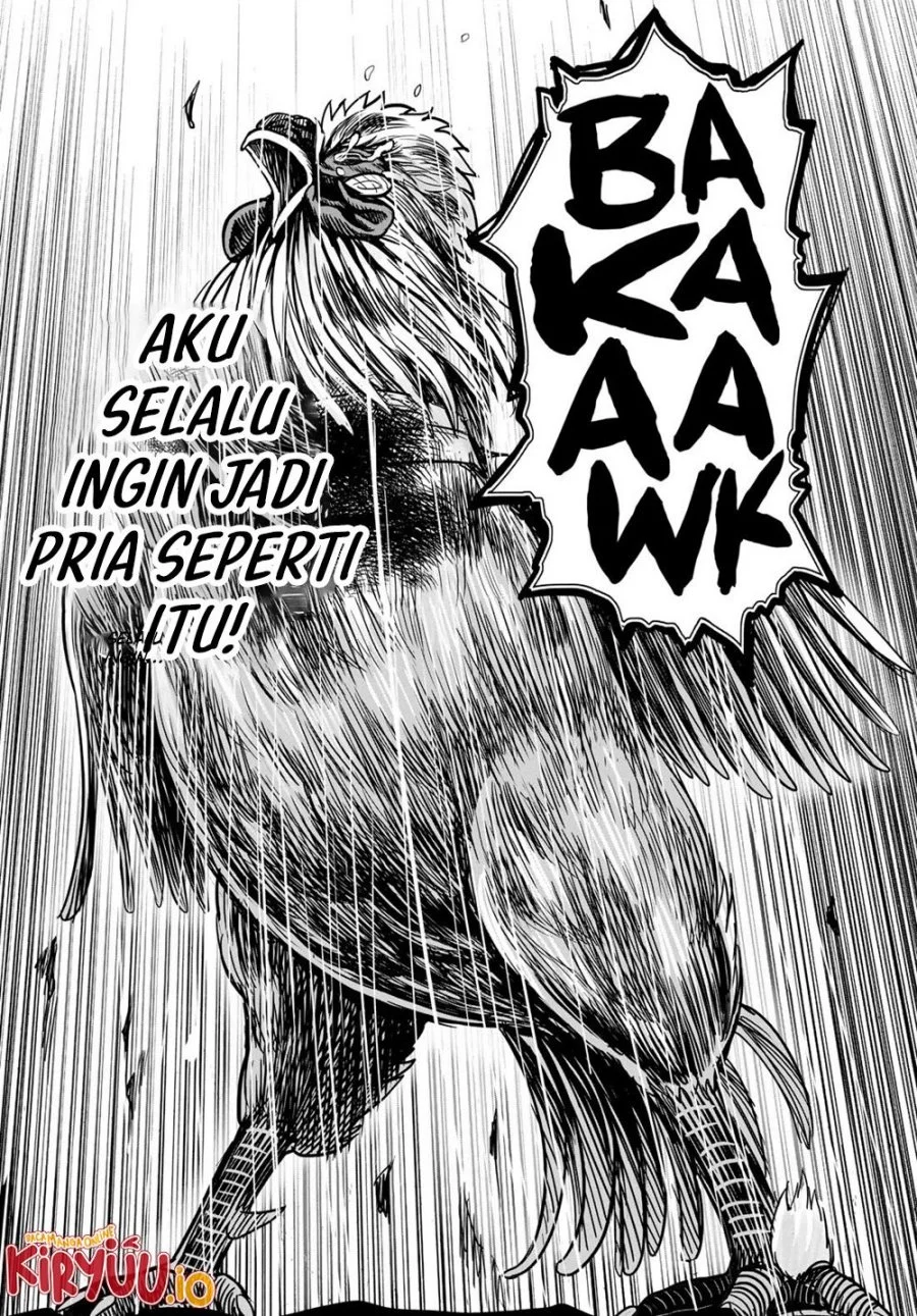 Rooster Fighter Bab 27 halaman 46