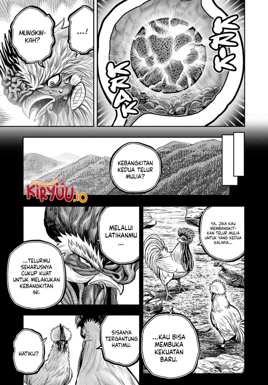 Rooster Fighter Bab 27 halaman 48