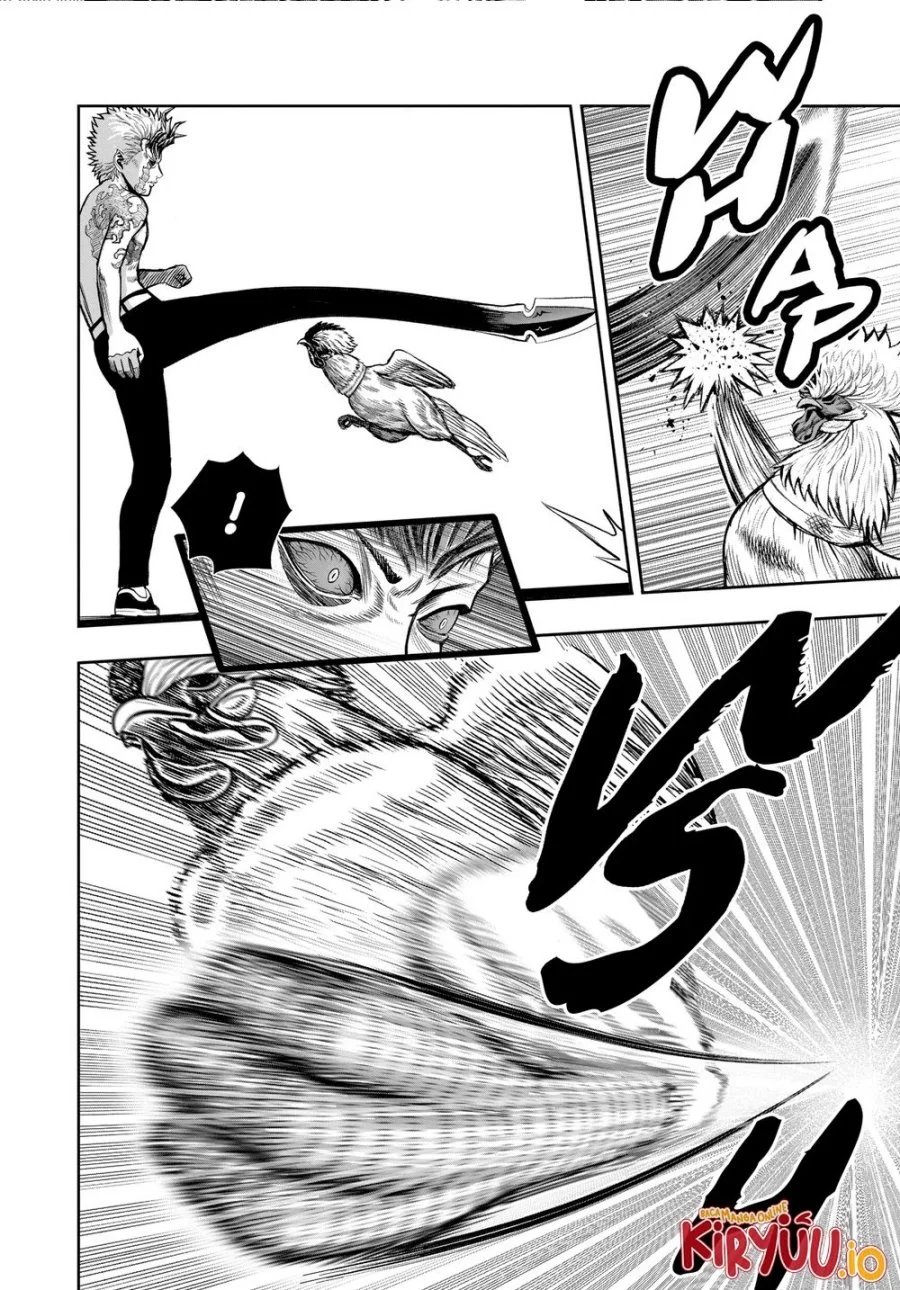 Rooster Fighter Bab 28 halaman 9