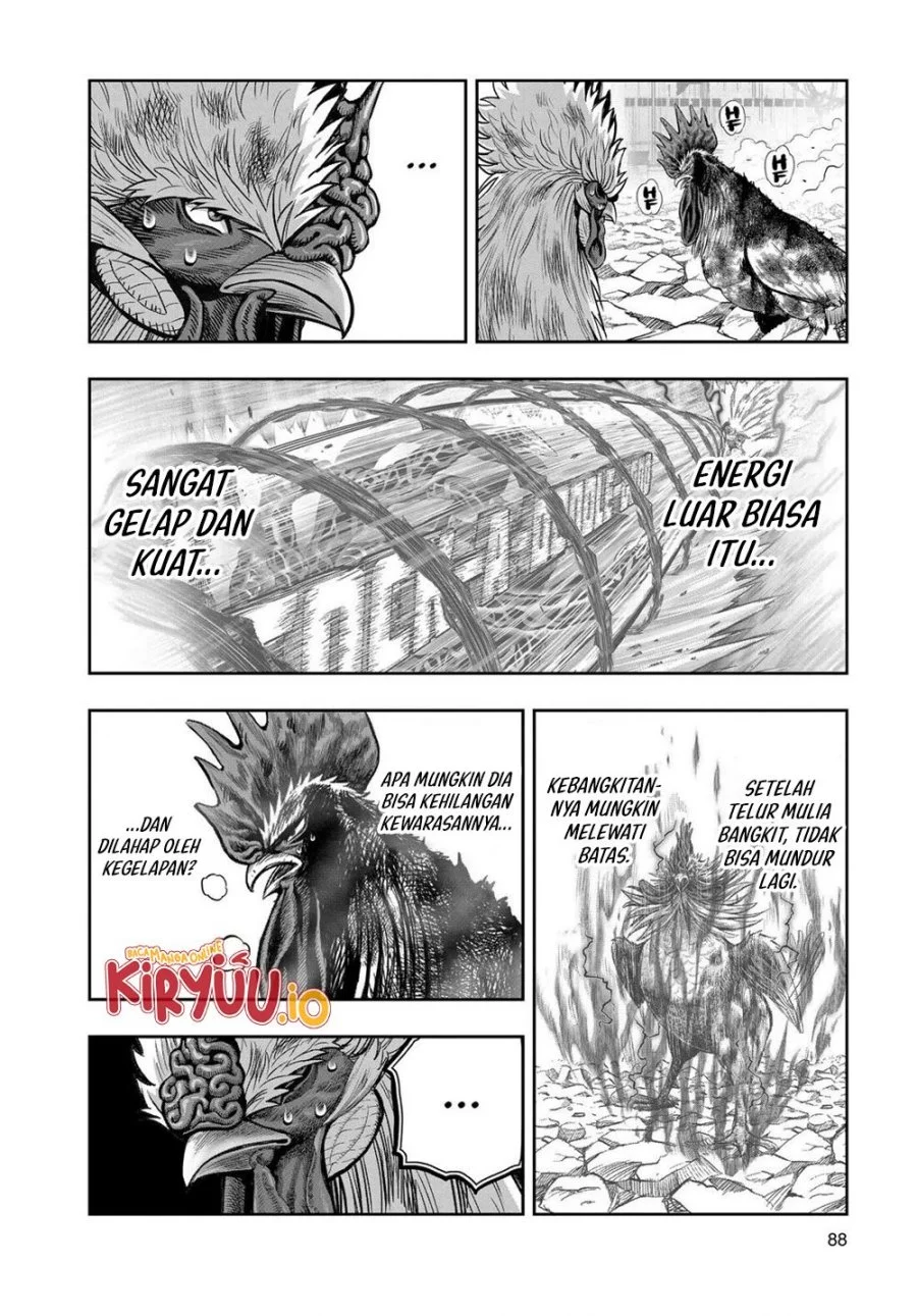 Rooster Fighter Bab 30 halaman 3