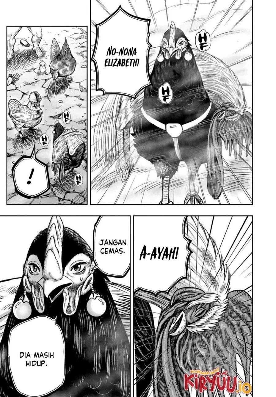 Rooster Fighter Bab 30 halaman 12