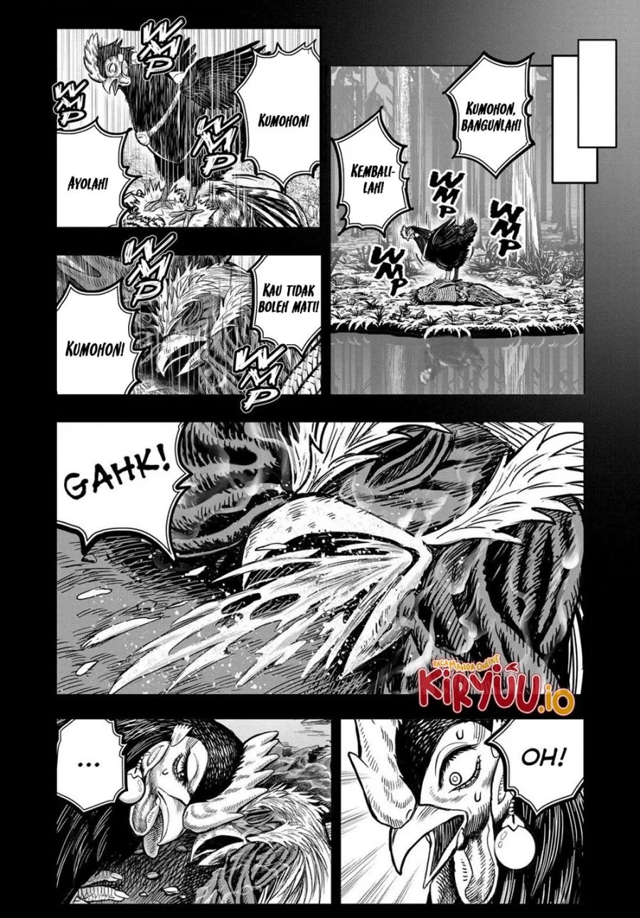 Rooster Fighter Bab 30 halaman 13