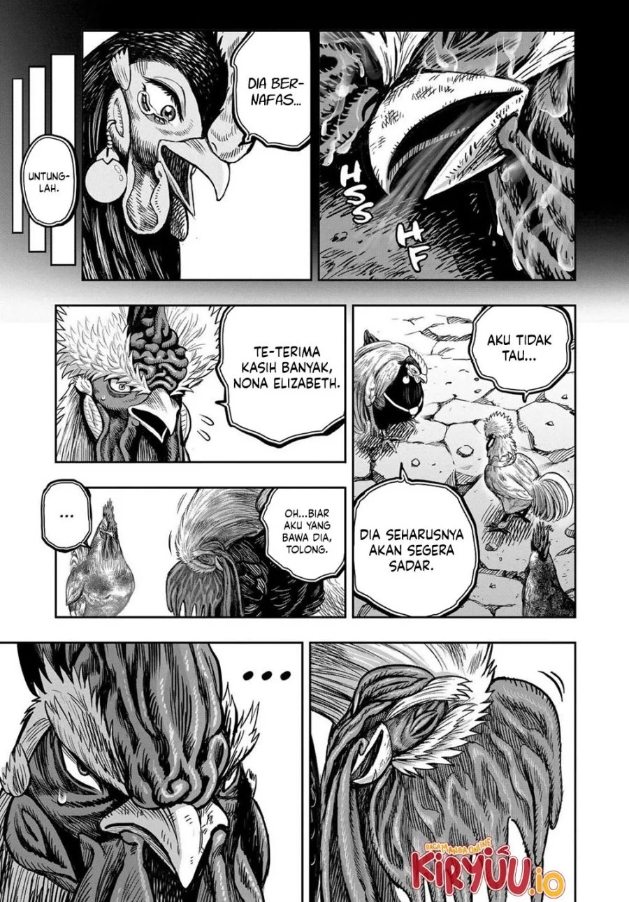 Rooster Fighter Bab 30 halaman 14