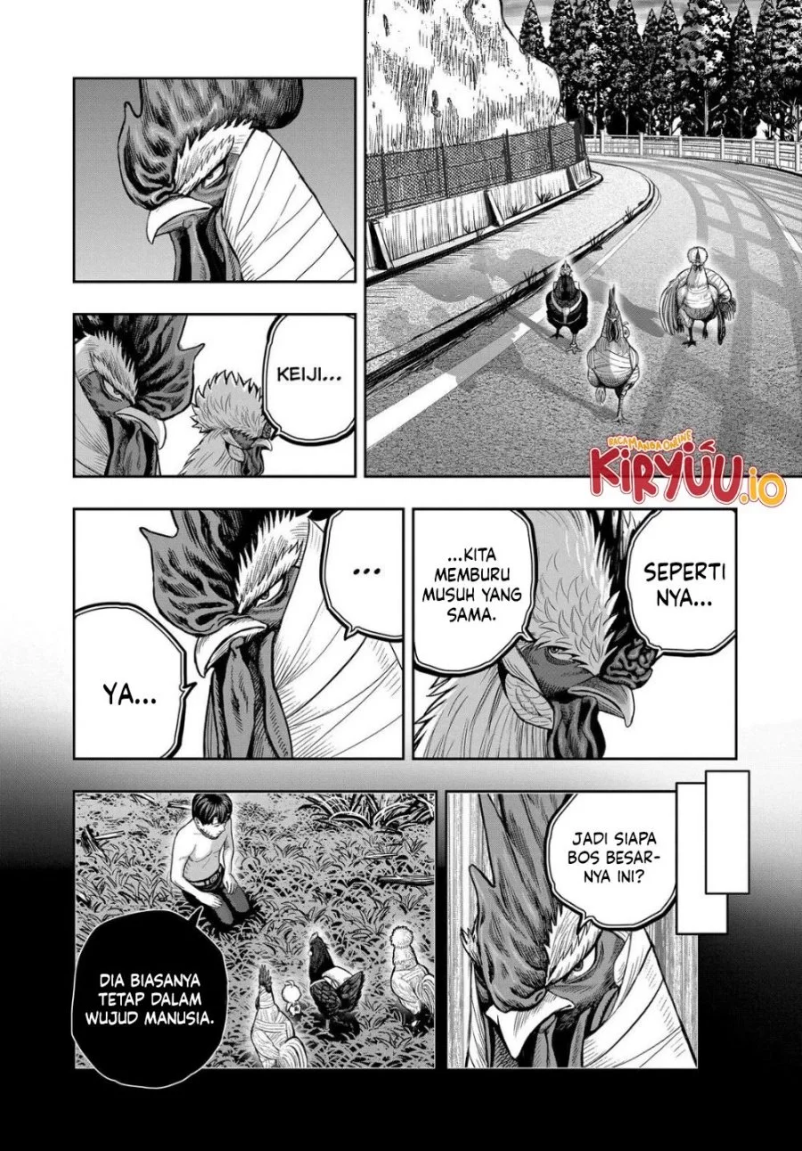 Rooster Fighter Bab 30 halaman 55