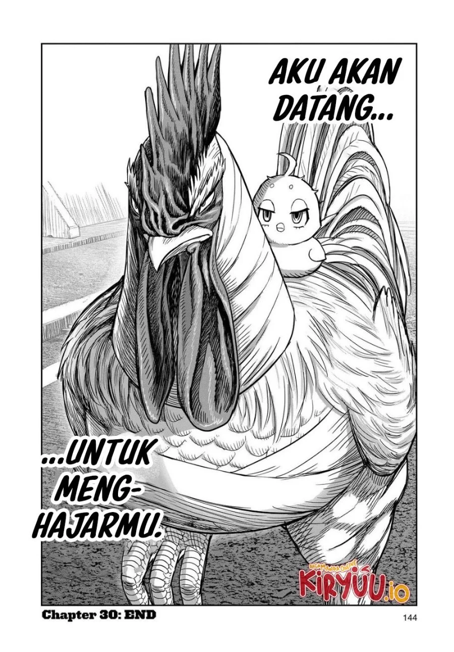 Rooster Fighter Bab 30 halaman 59