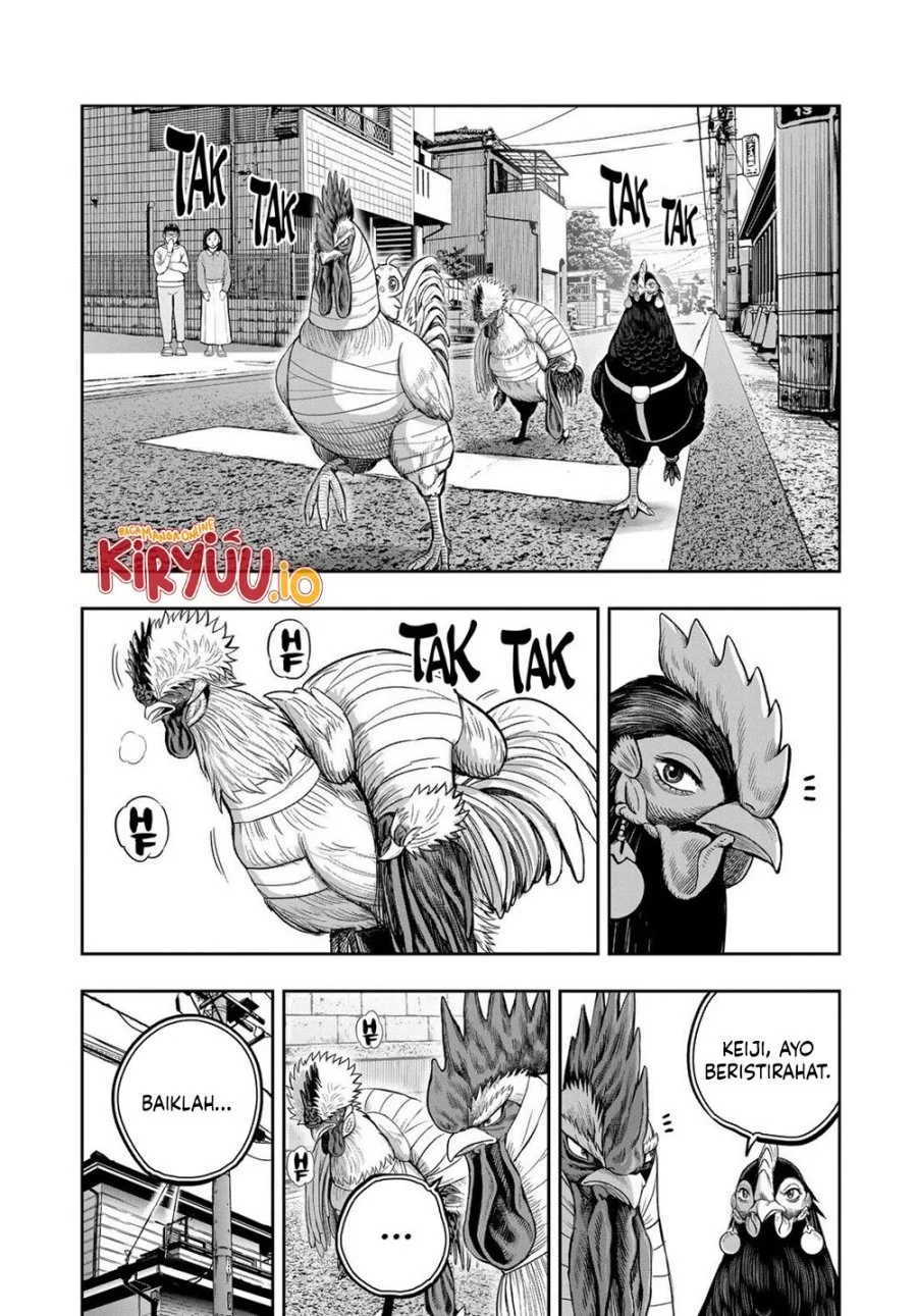Rooster Fighter Bab 31 halaman 3