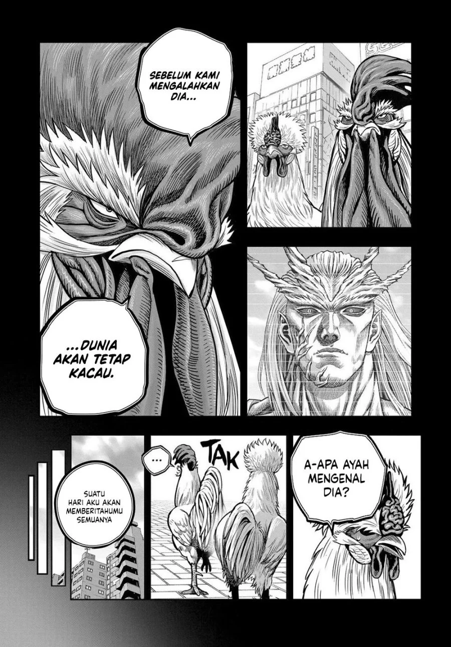 Rooster Fighter Bab 31 halaman 9