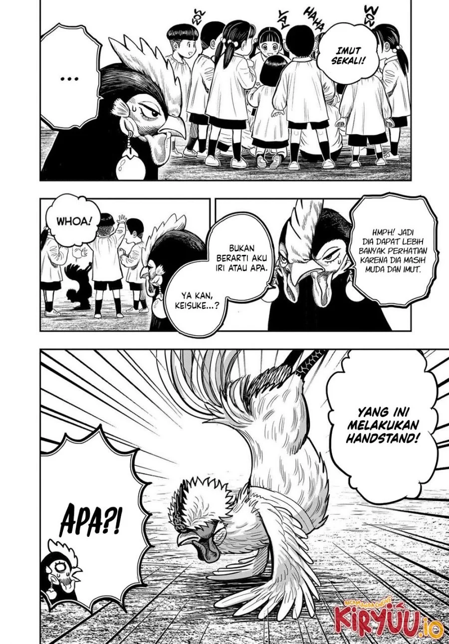 Rooster Fighter Bab 31 halaman 21