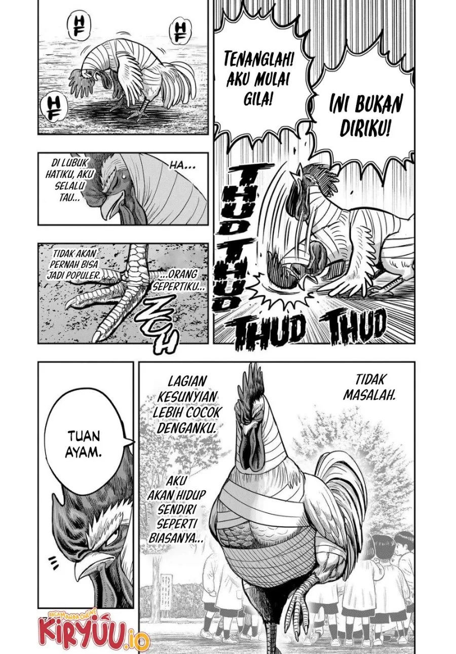 Rooster Fighter Bab 31 halaman 28