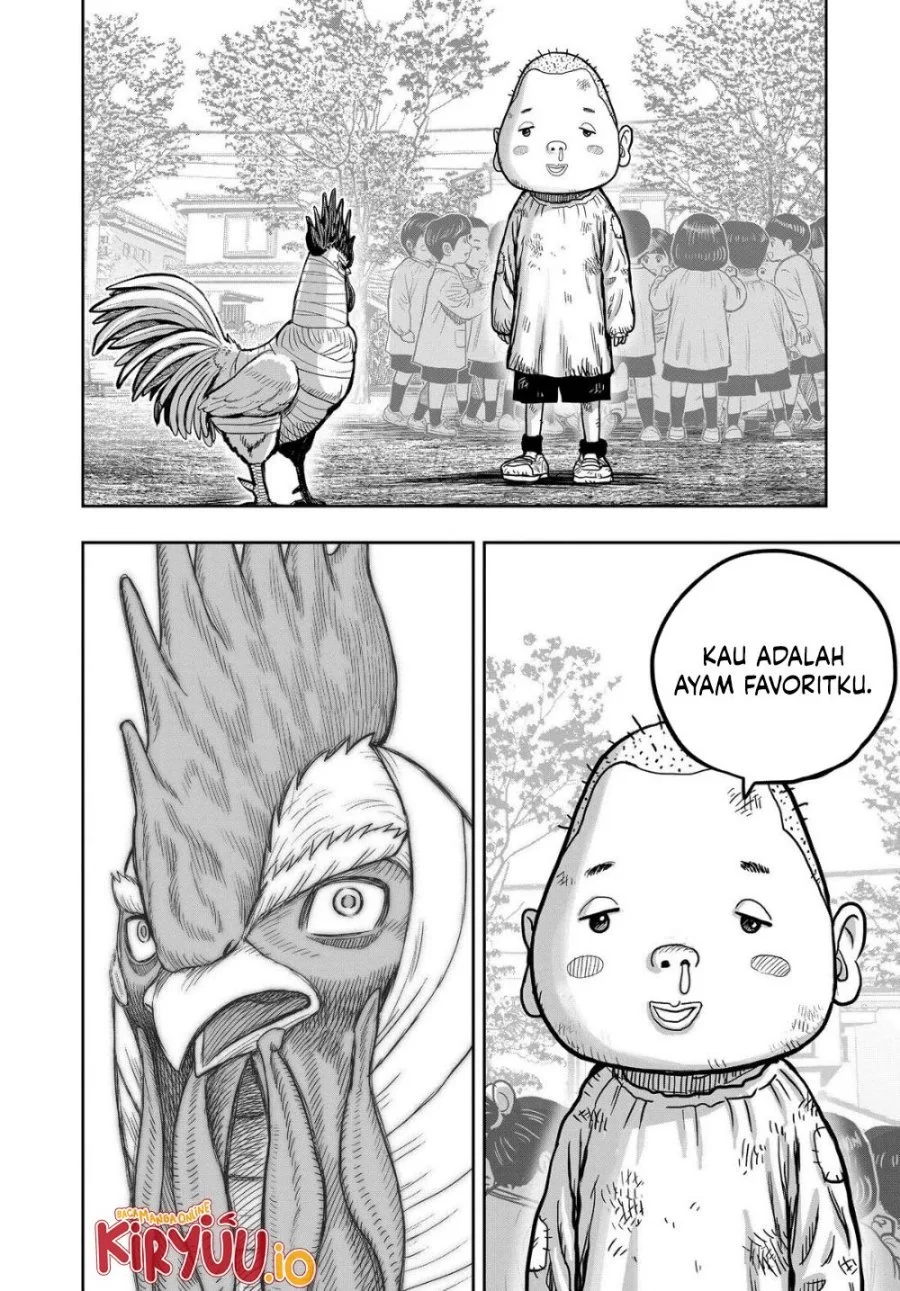 Rooster Fighter Bab 31 halaman 29