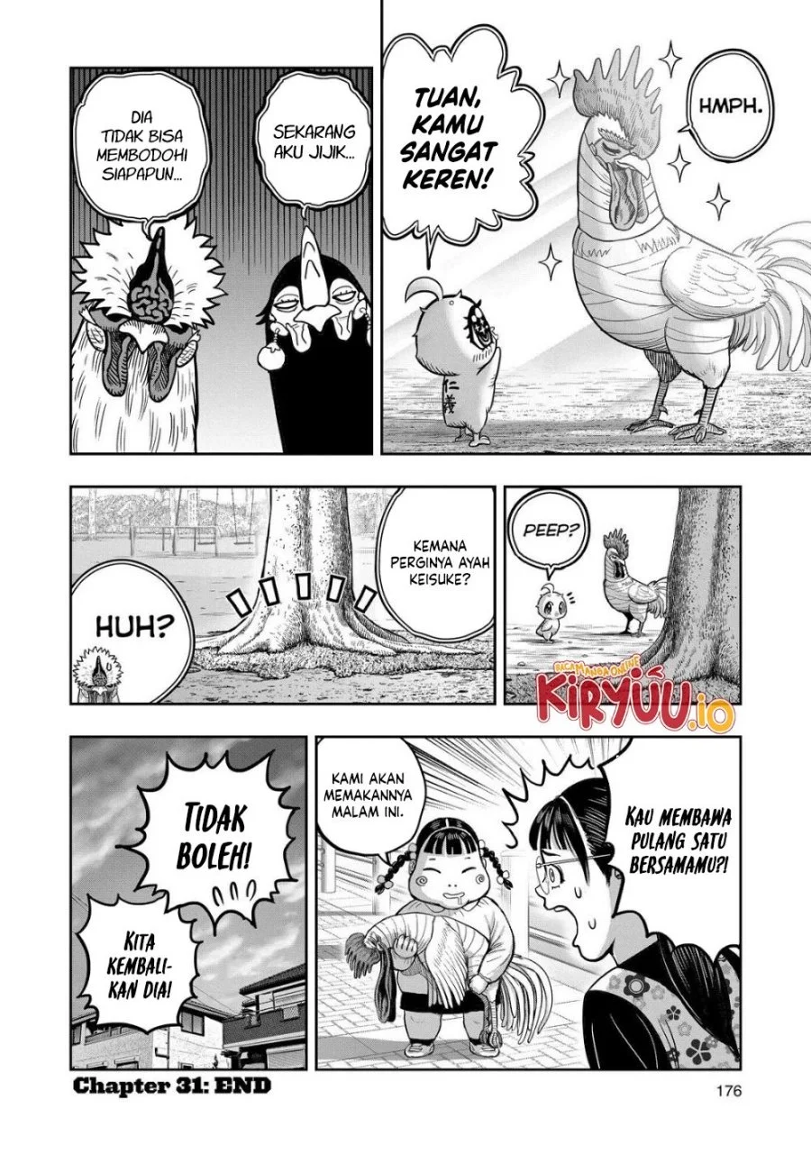Rooster Fighter Bab 31 halaman 33