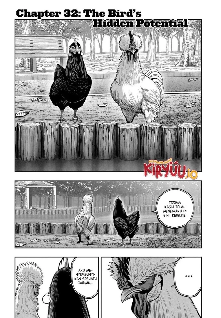 Rooster Fighter Bab 32 halaman 2