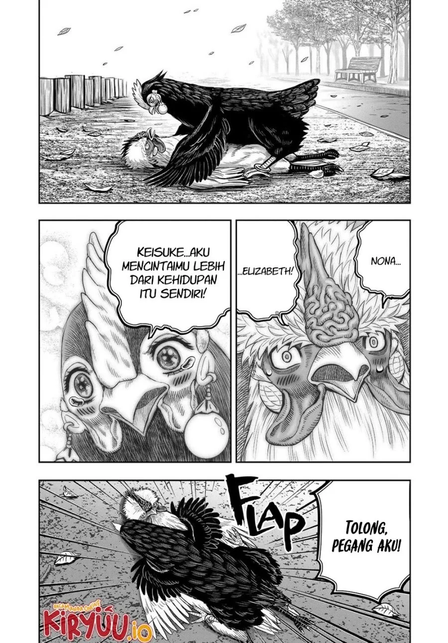 Rooster Fighter Bab 32 halaman 5