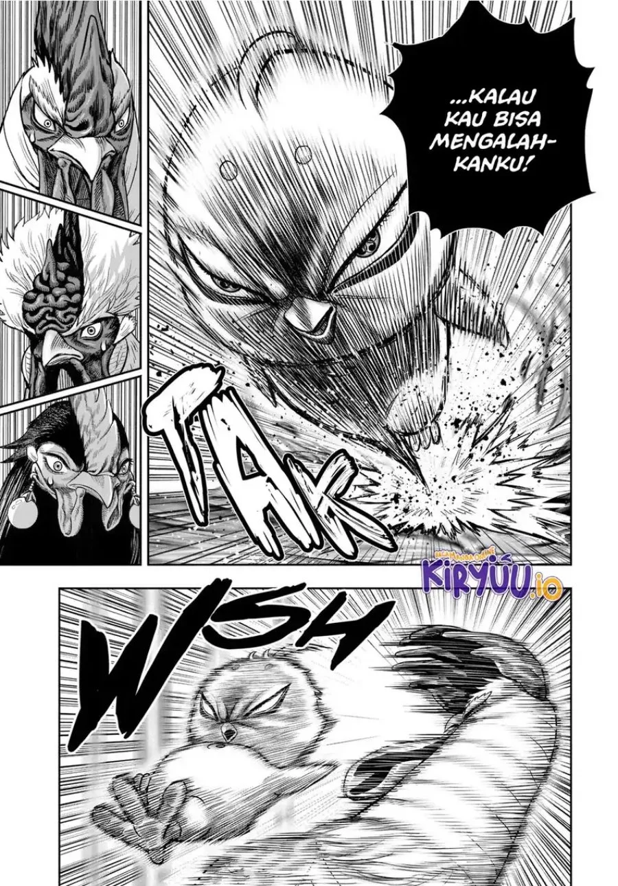 Rooster Fighter Bab 33 halaman 8