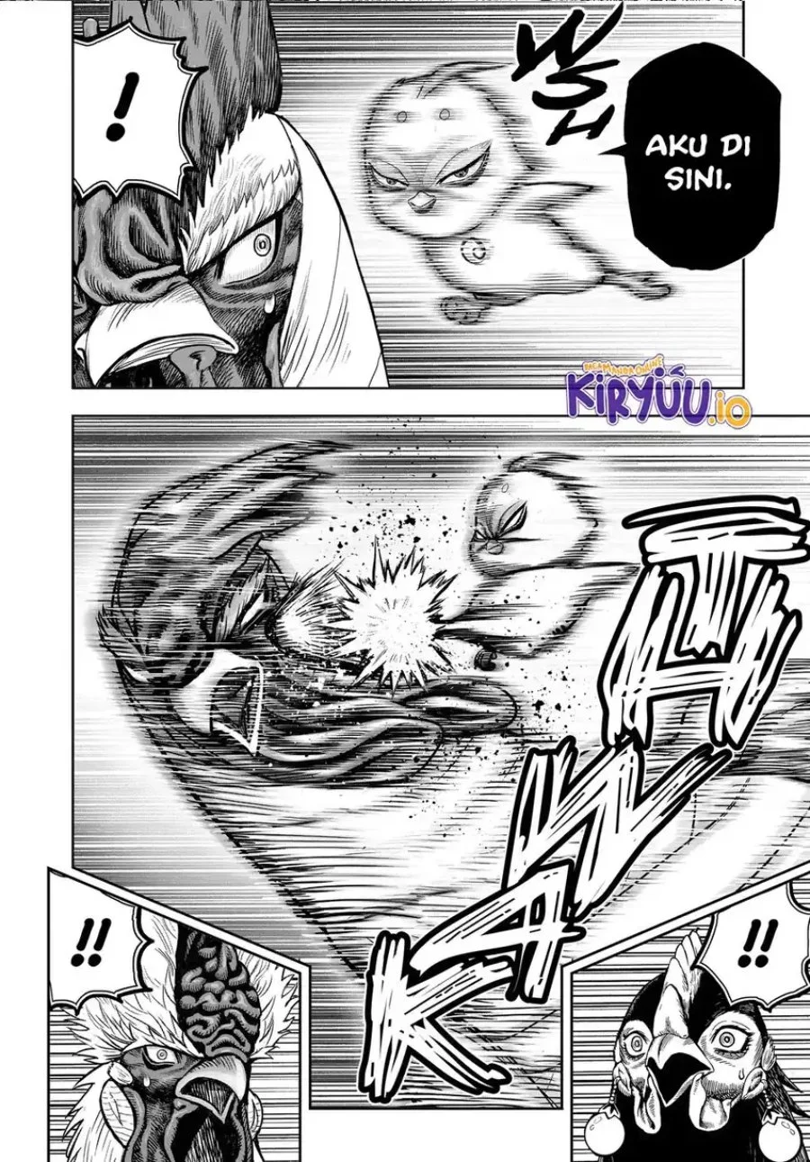 Rooster Fighter Bab 33 halaman 11