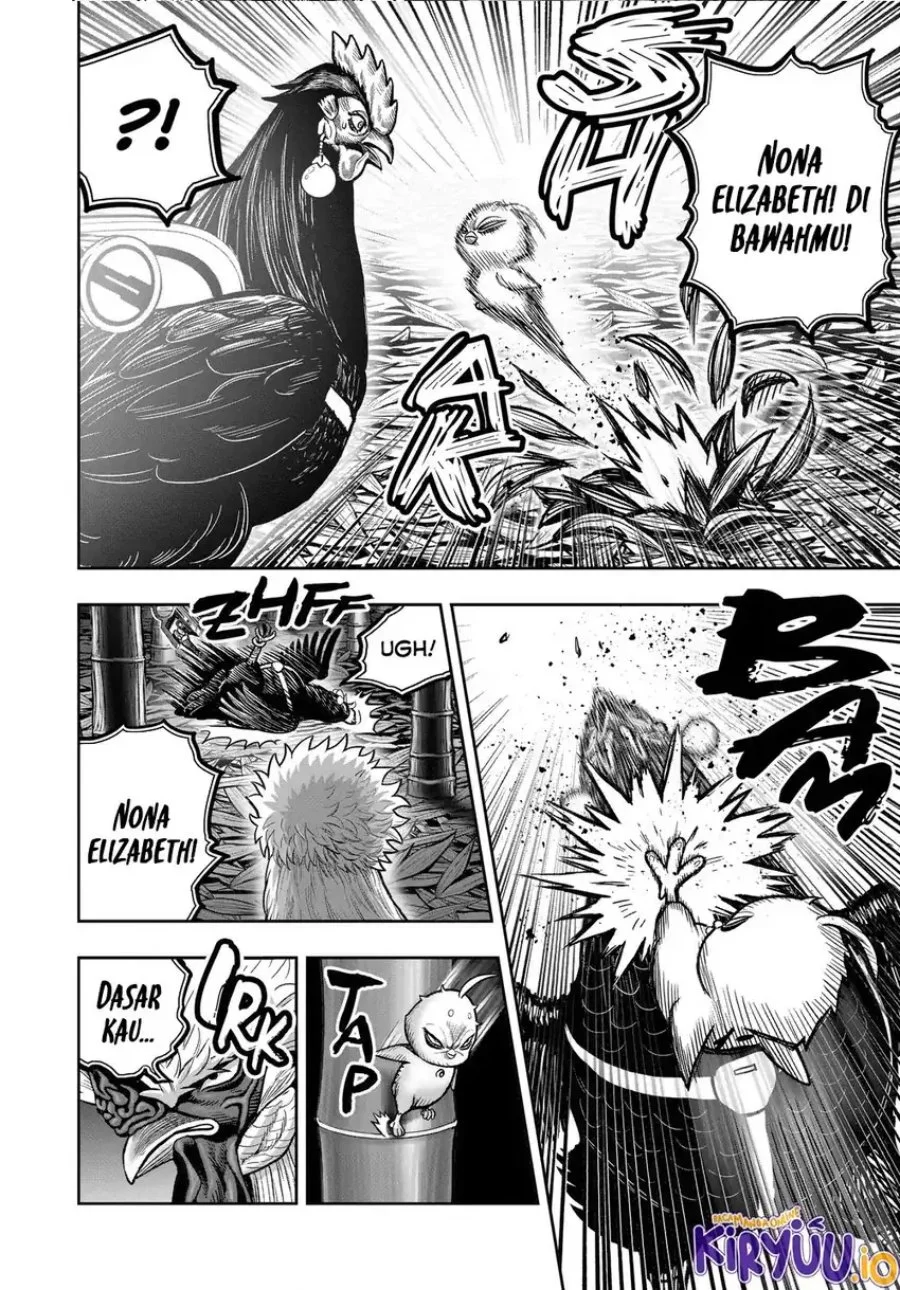 Rooster Fighter Bab 33 halaman 17
