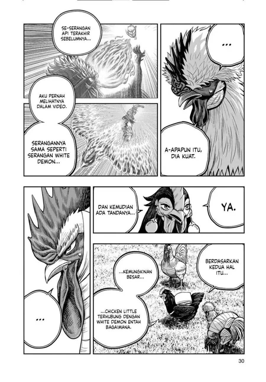 Rooster Fighter Bab 33 halaman 31