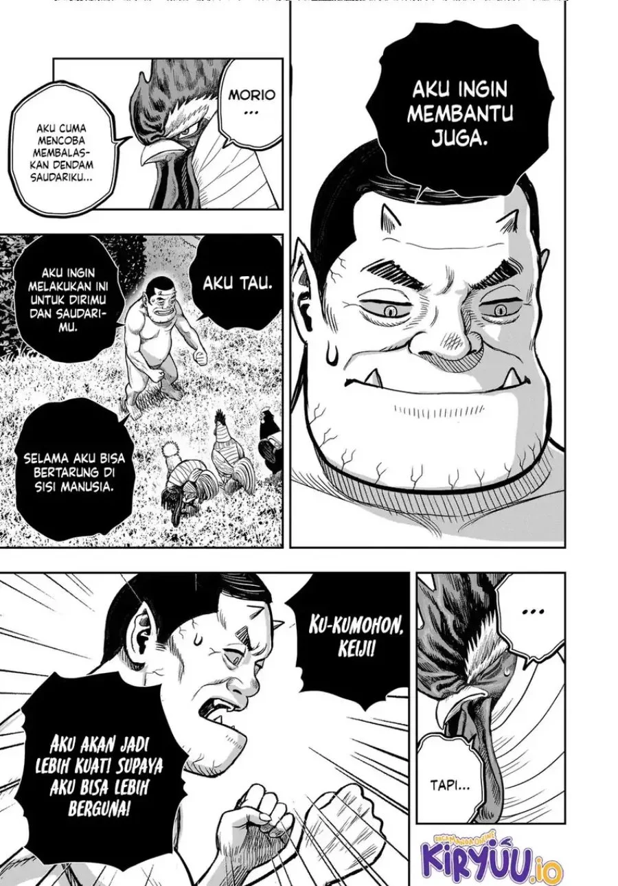 Rooster Fighter Bab 33 halaman 38