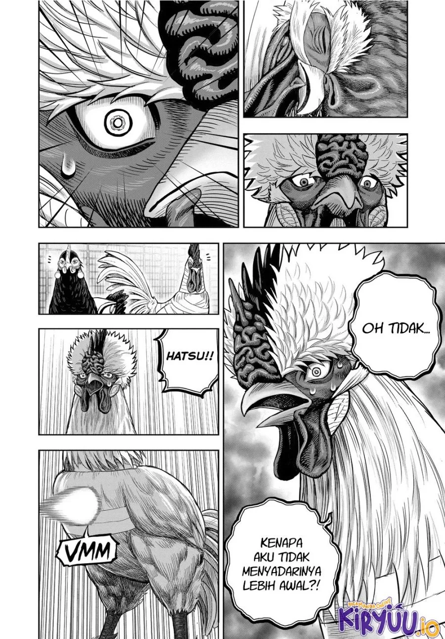 Rooster Fighter Bab 34 halaman 15