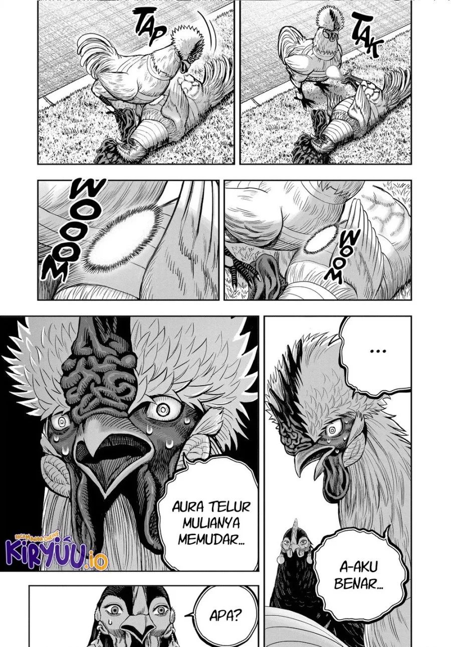 Rooster Fighter Bab 34 halaman 16