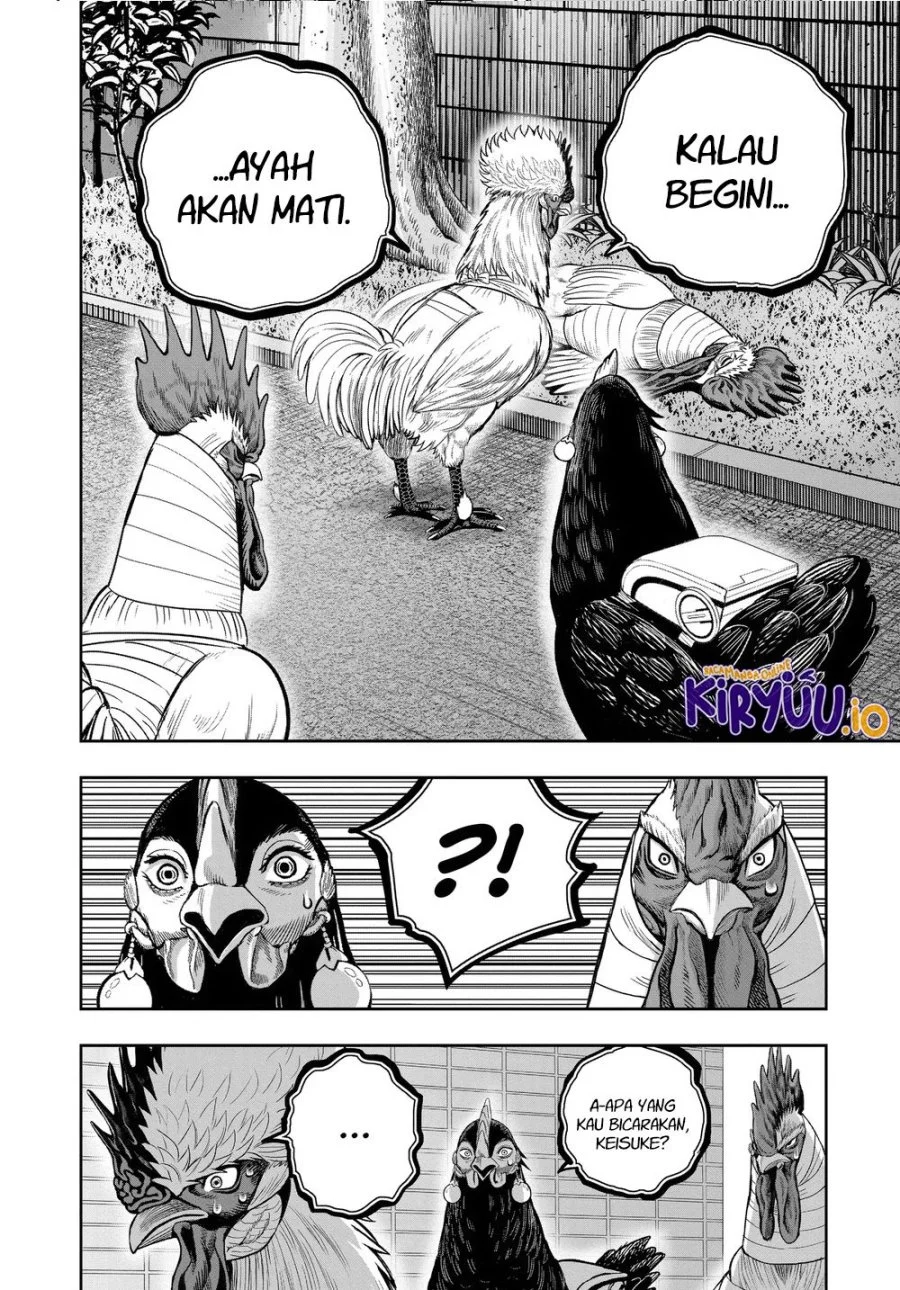 Rooster Fighter Bab 34 halaman 17
