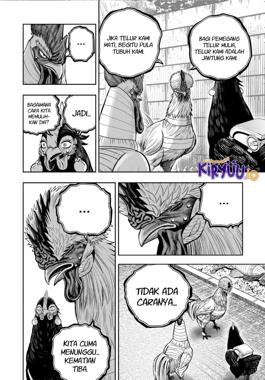 Rooster Fighter Bab 34 halaman 19