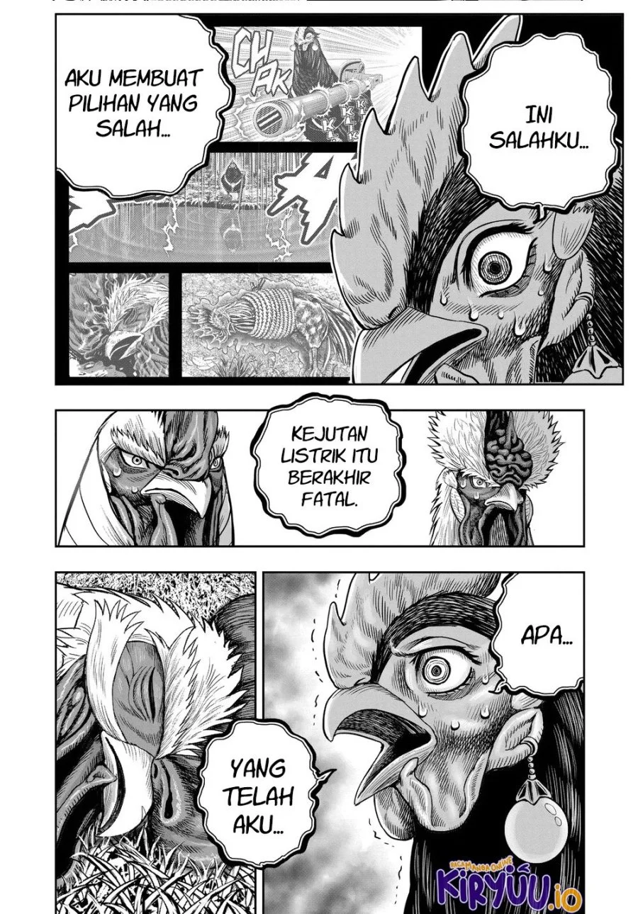 Rooster Fighter Bab 34 halaman 21