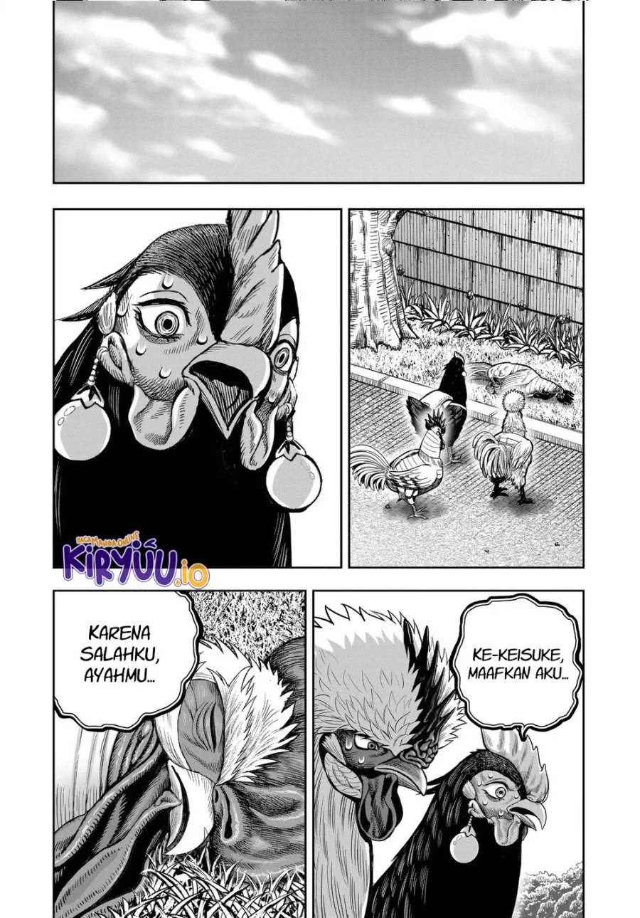 Rooster Fighter Bab 34 halaman 38