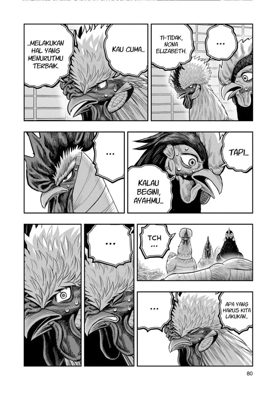 Rooster Fighter Bab 34 halaman 39