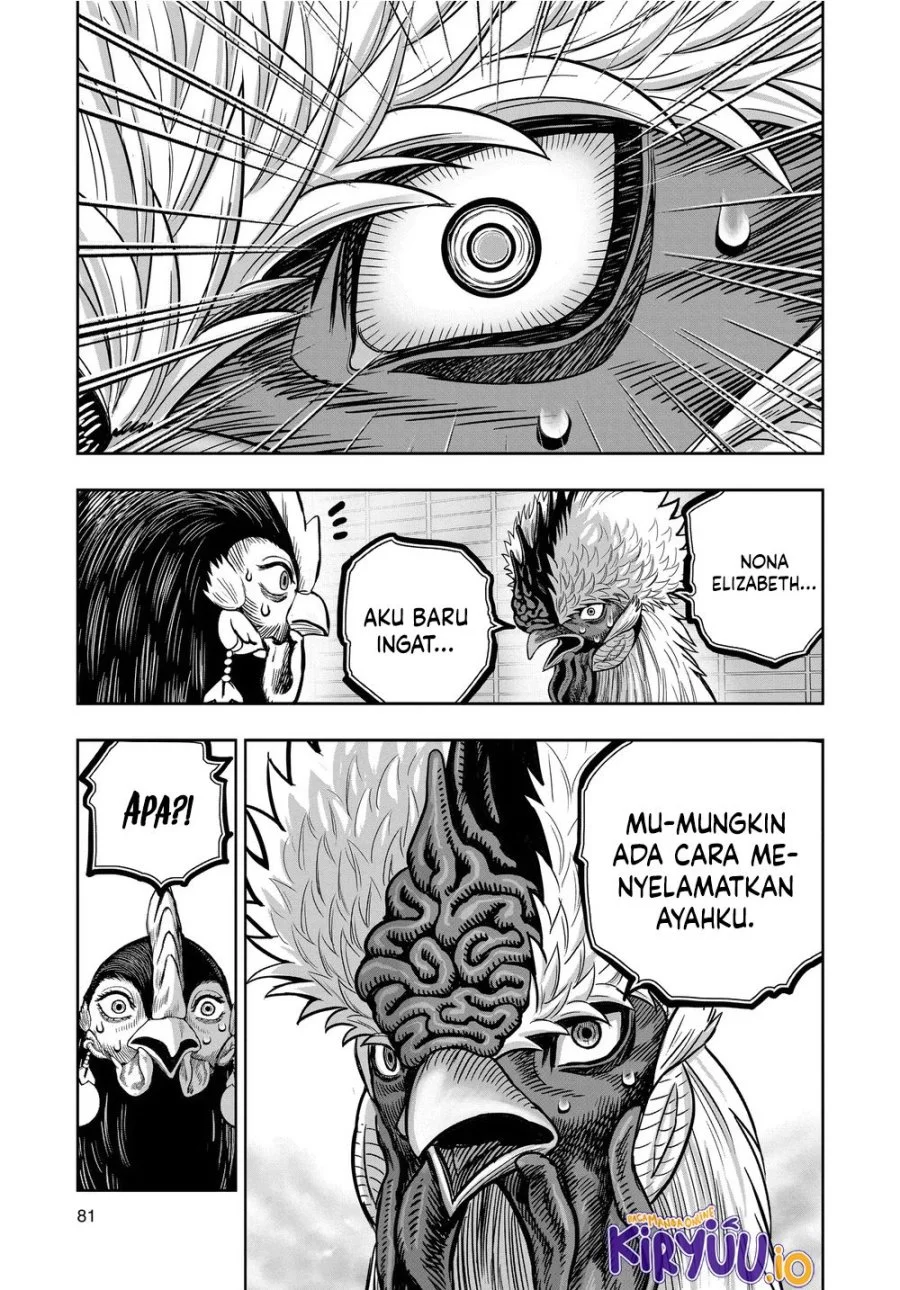 Rooster Fighter Bab 34 halaman 40