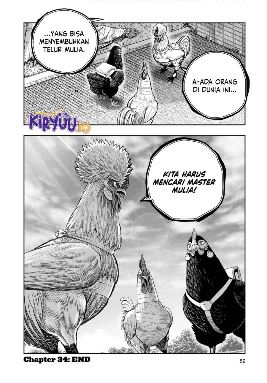 Rooster Fighter Bab 34 halaman 41