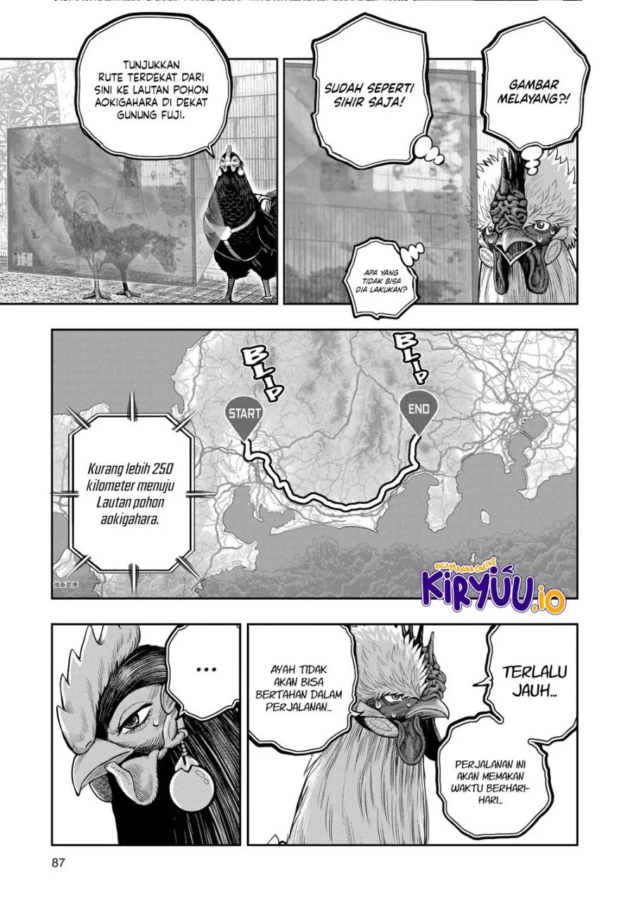 Rooster Fighter Bab 35.2 halaman 6