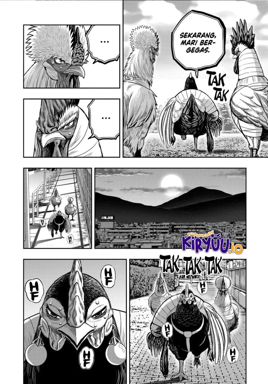 Rooster Fighter Bab 35 halaman 9
