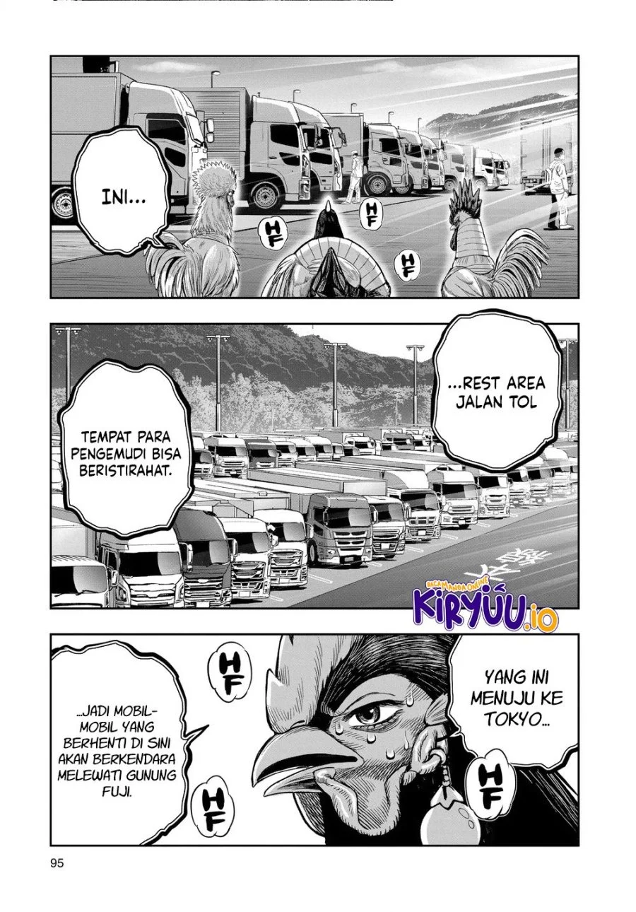 Rooster Fighter Bab 35 halaman 14
