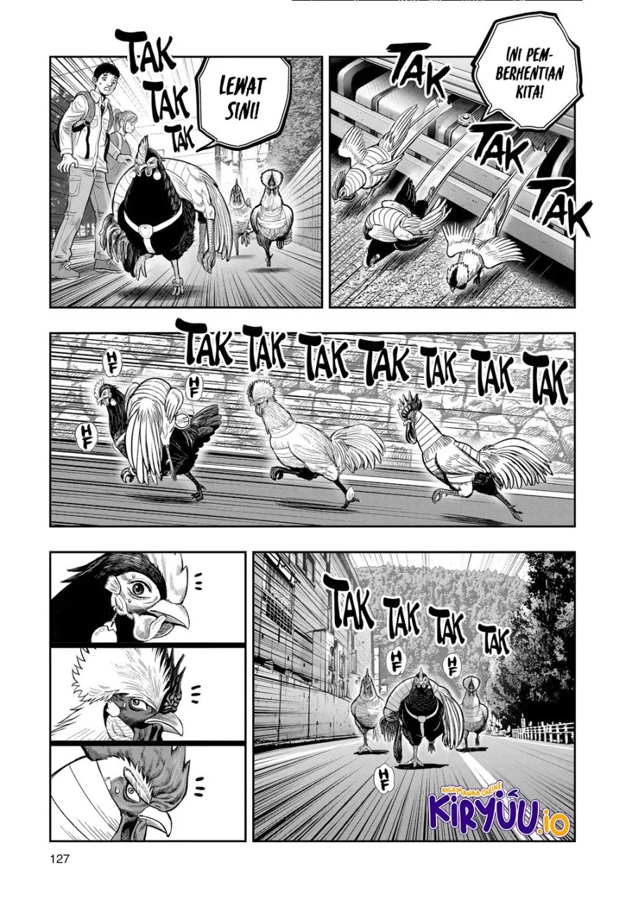 Rooster Fighter Bab 36.2 halaman 16