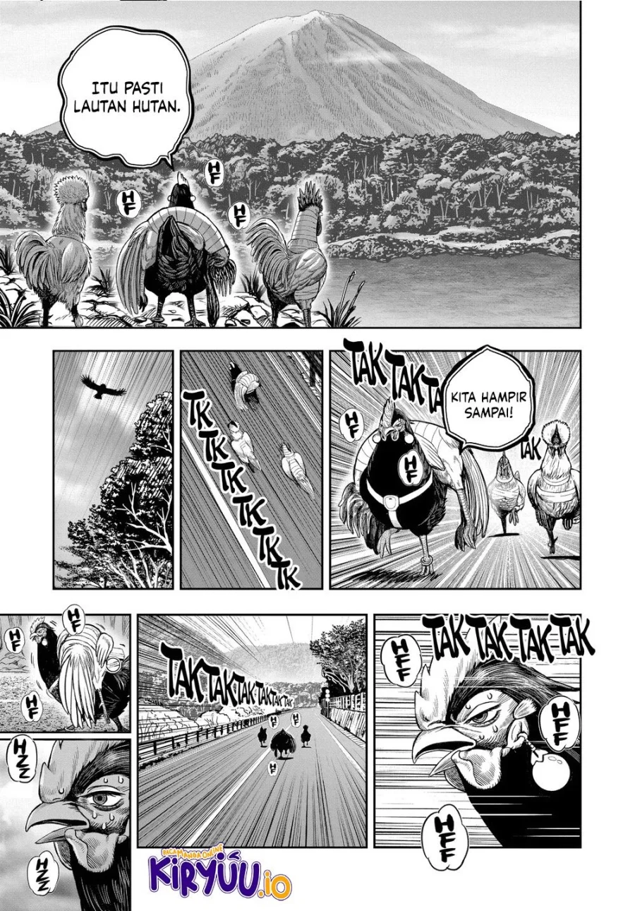 Rooster Fighter Bab 36.2 halaman 23