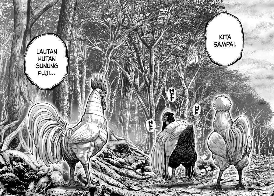 Rooster Fighter Bab 36.2 halaman 24