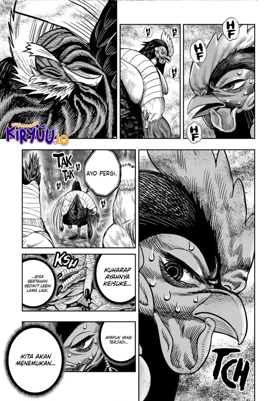 Rooster Fighter Bab 36.2 halaman 26