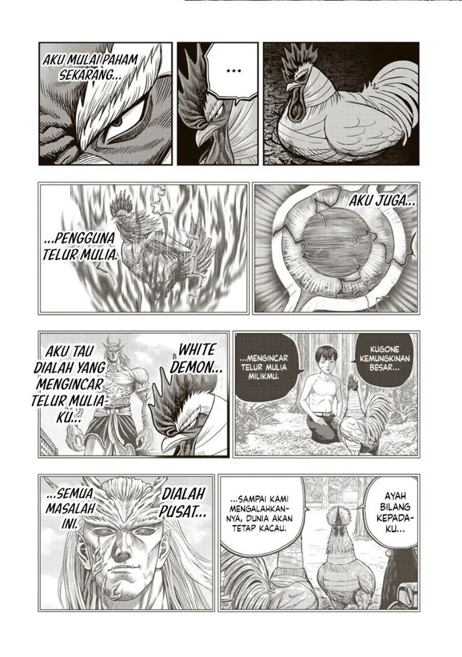 Rooster Fighter Bab 37 halaman 14