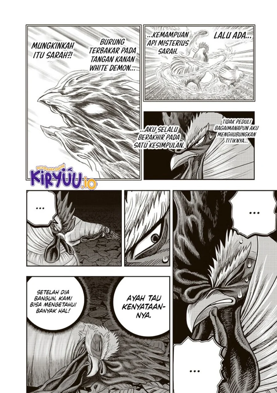 Rooster Fighter Bab 37 halaman 15
