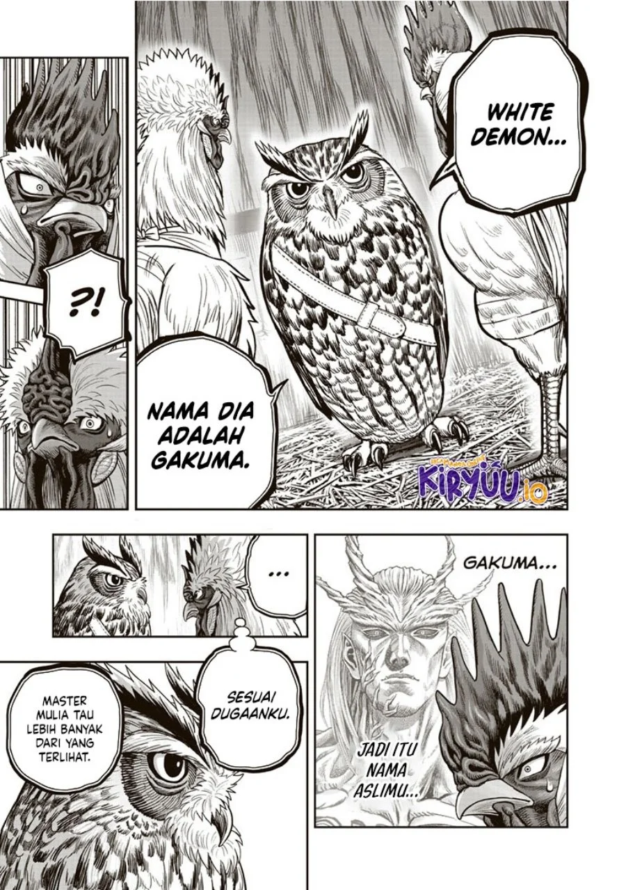 Rooster Fighter Bab 38 halaman 18