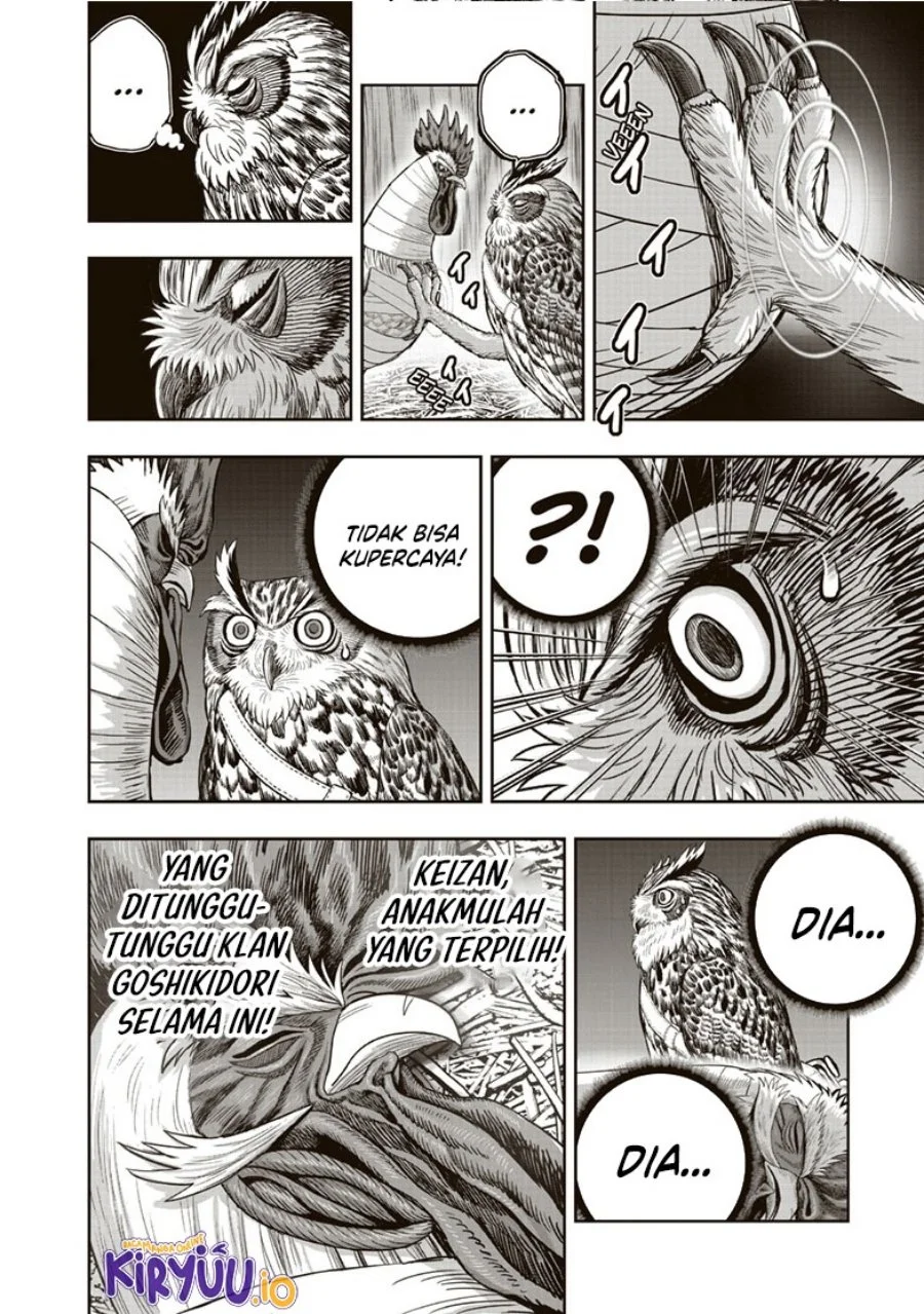 Rooster Fighter Bab 38 halaman 25