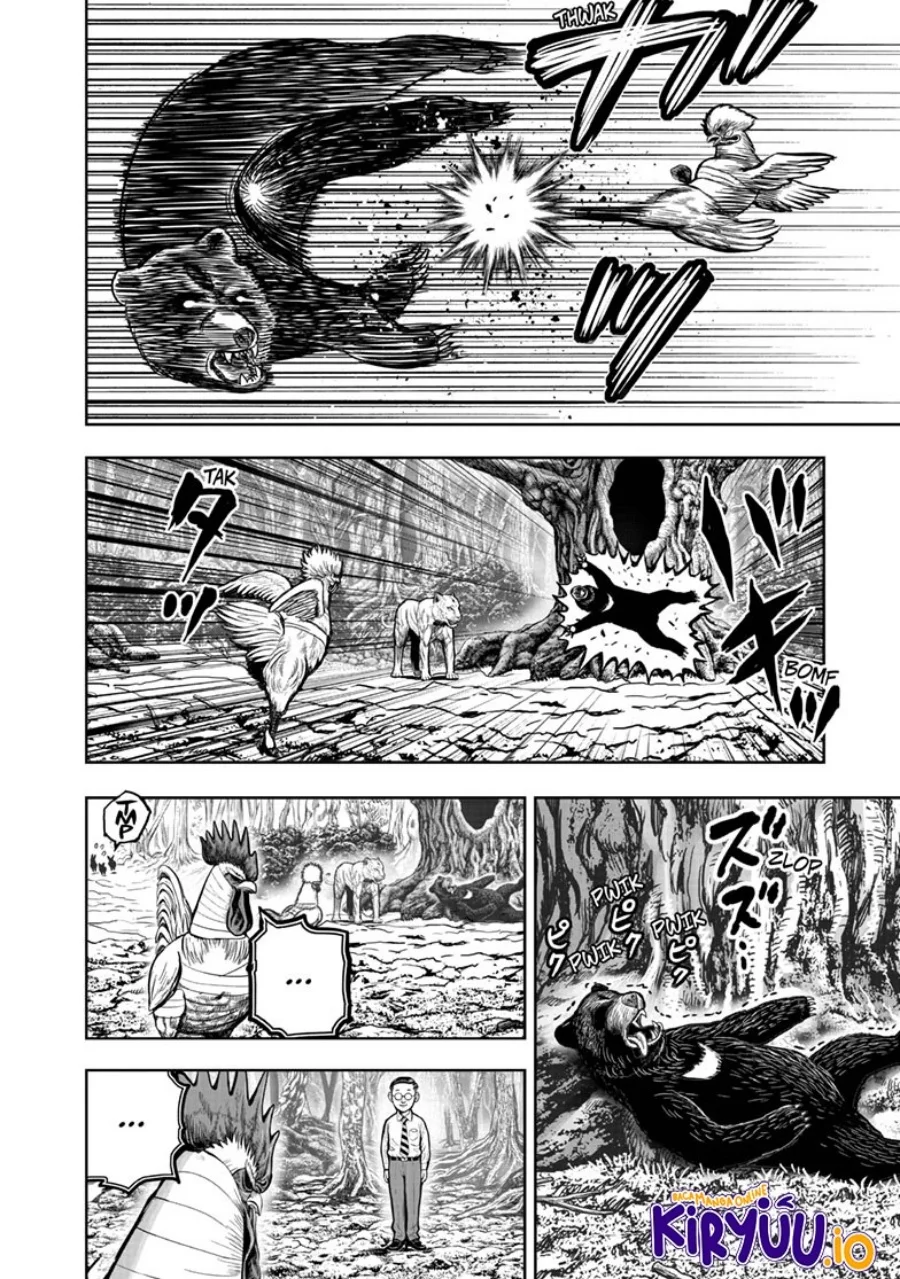 Rooster Fighter Bab 39 halaman 13
