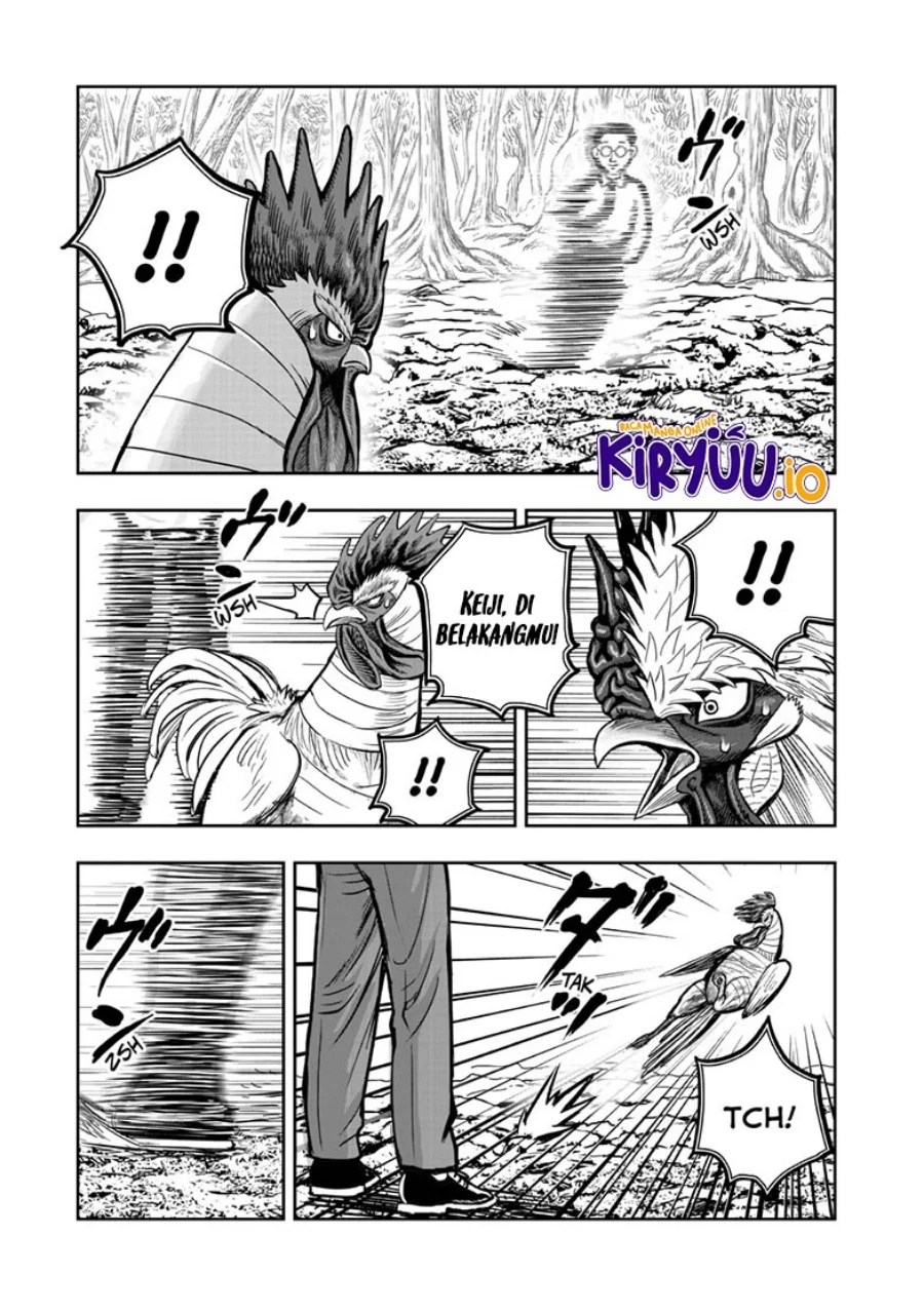 Rooster Fighter Bab 39 halaman 20