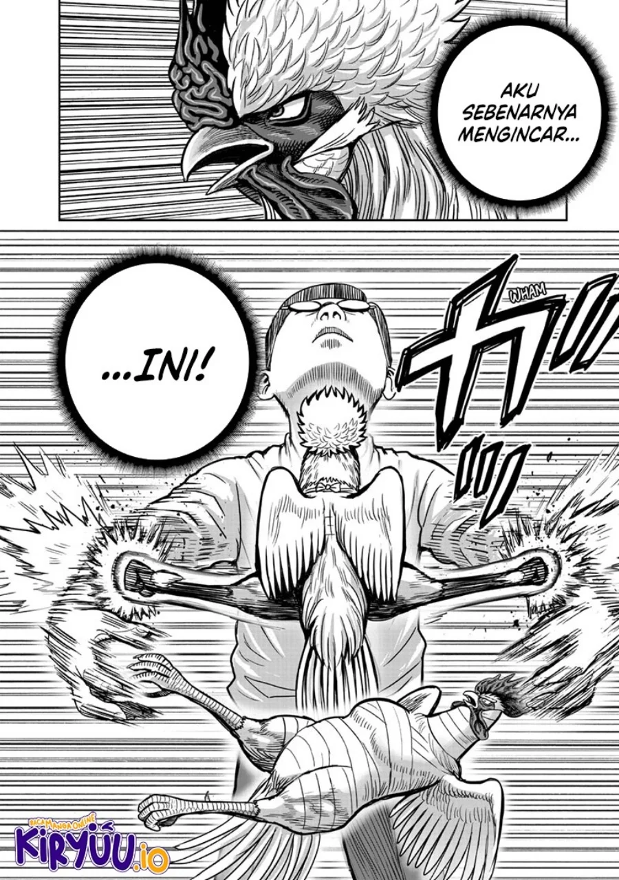 Rooster Fighter Bab 39 halaman 25