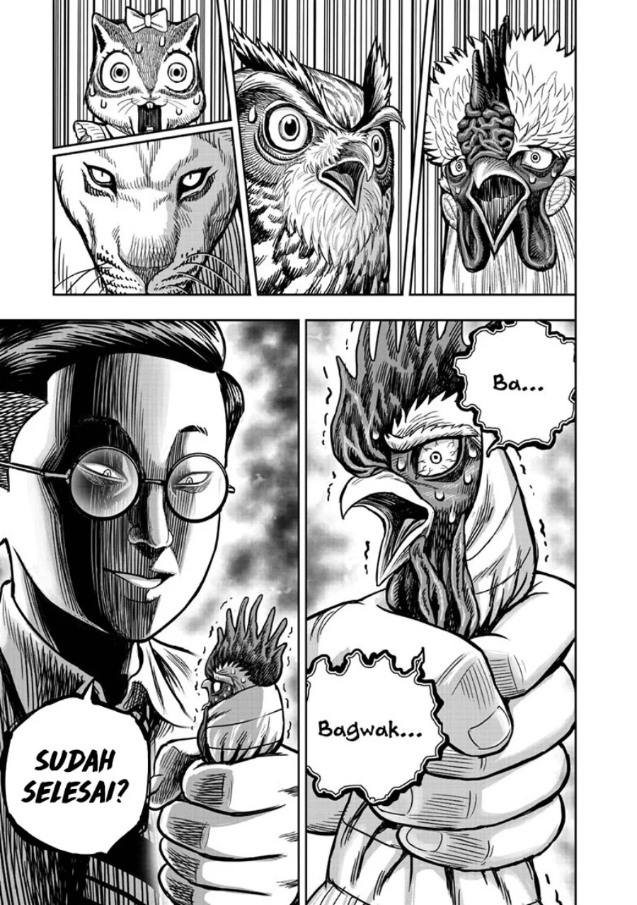 Rooster Fighter Bab 39 halaman 38